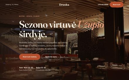 Druska — Karylo sukurta svetainė